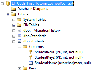 dataannotations key attribute