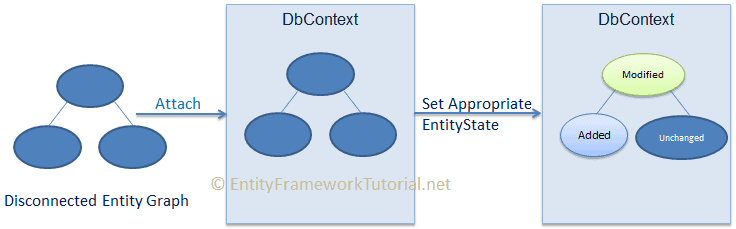 attach disconnected entity graph